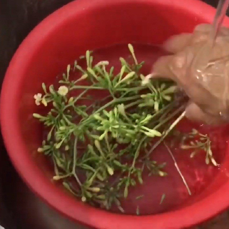 Hoa đu đủ đực tươi rói đã được rửa sạch