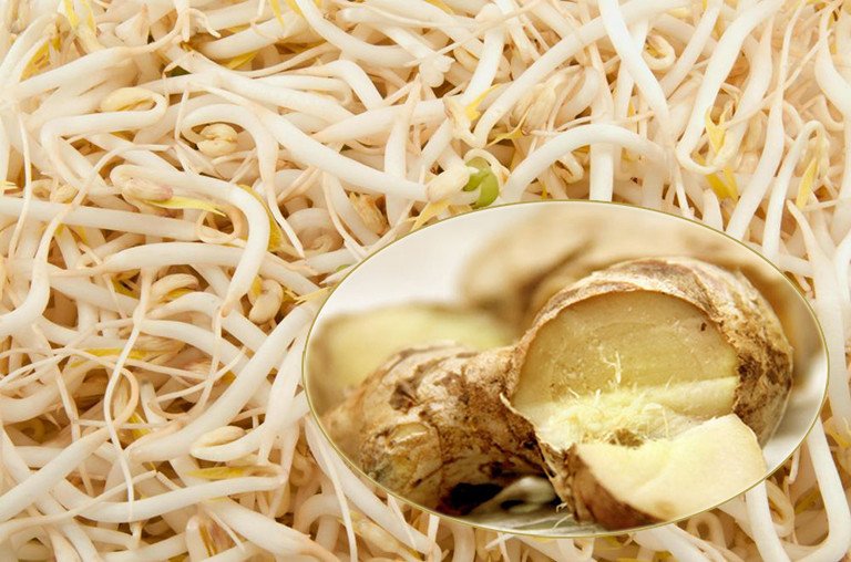 Hỗn hợp giá đỗ và gừng tươi giúp kháng viêm trị ho