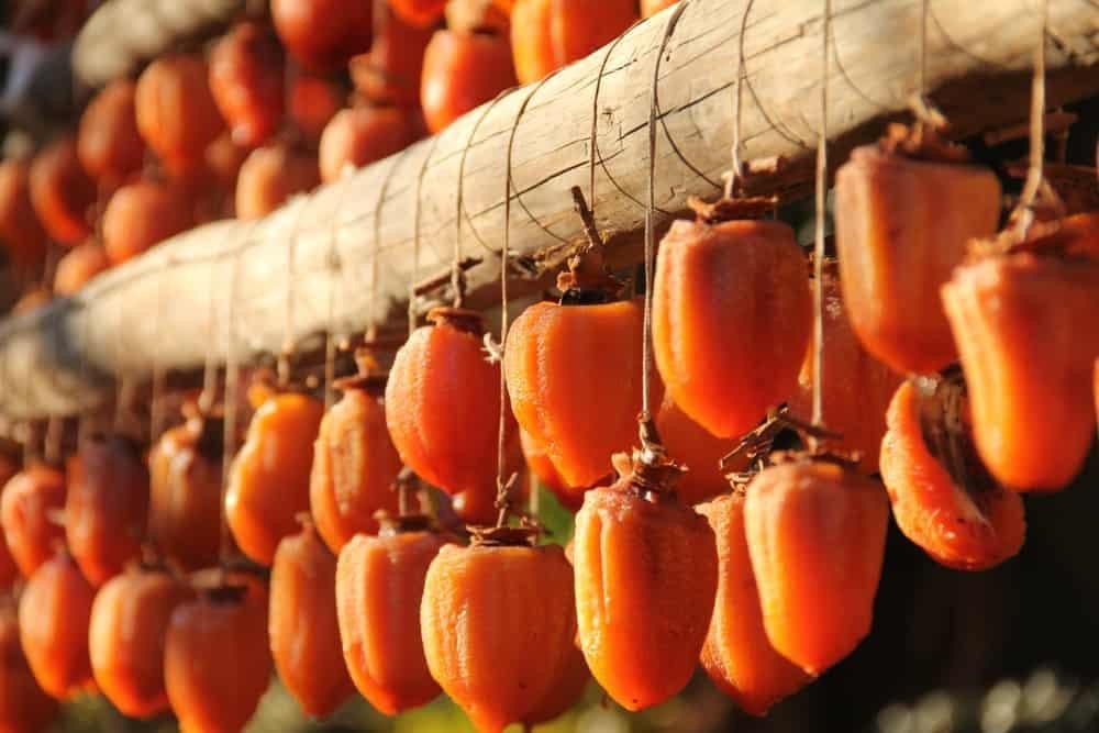 Hồng giòn treo gió đang trong quá trình phơi, minh họa phương pháp chế biến hồng giòn