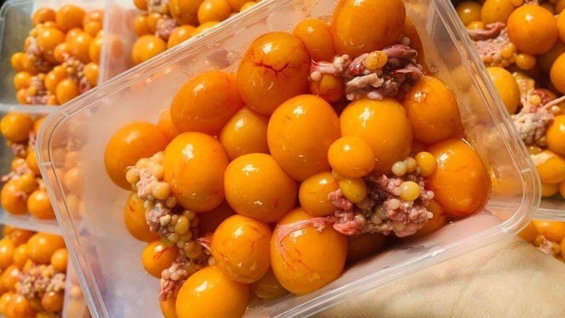 Hướng dẫn mua trứng non chất lượng và giá cả
