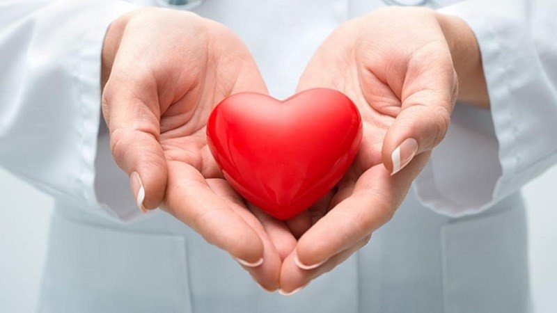 Kem Dưa Hấu Bao Nhiêu Calo - Ăn nhiều dưa hấu gây ảnh hưởng tim mạch