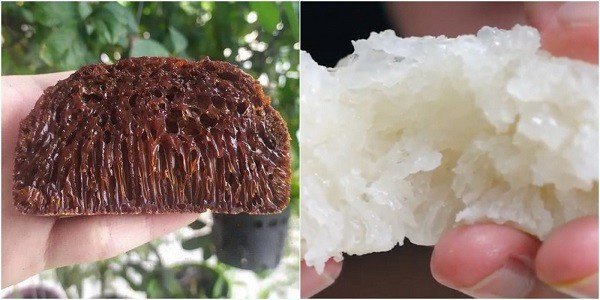 Khắc phục lỗi bánh bò hấp
