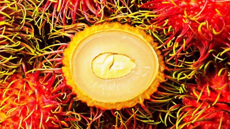 Khi ăn chôm chôm nên bỏ vỏ và hạt