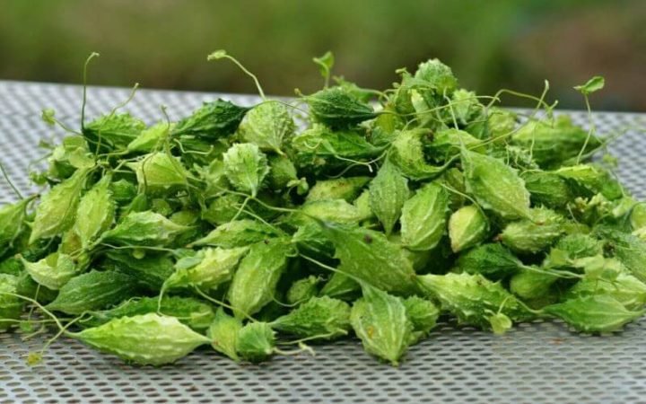 Khổ qua rừng tươi nguyên quả