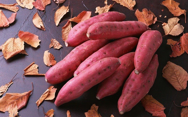 Khoai lang giàu chất xơ hỗ trợ tiêu hóa