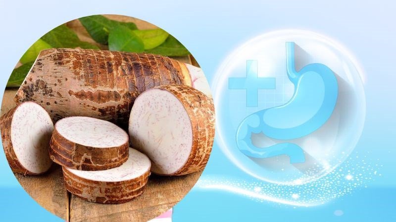 Khoai sọ giàu chất xơ nên đặc biệt giúp hệ tiêu hóa khỏe mạnh
