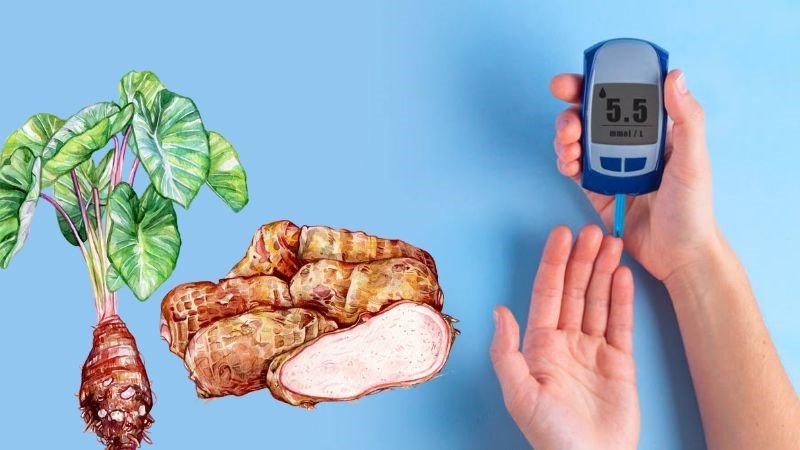 Khoai sọ không làm ảnh hưởng đến lượng đường trong máu của bệnh nhân tiểu đường
