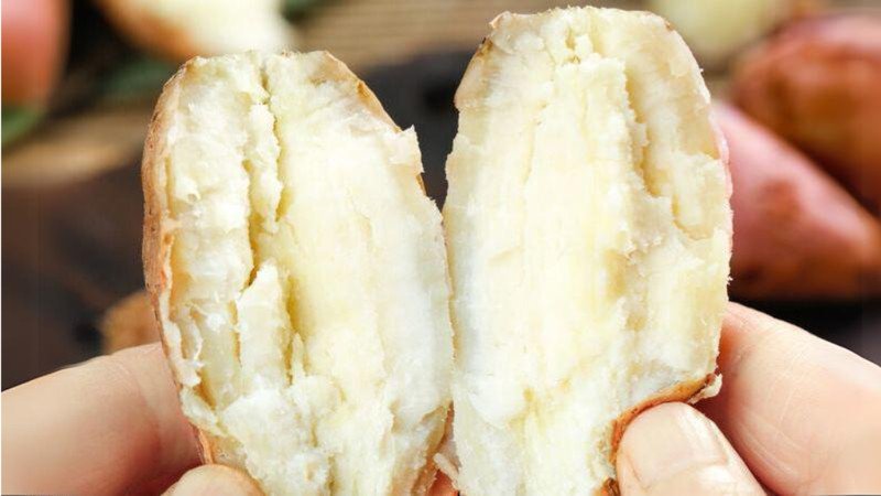 Khoai sữa tươi ngon dồi dào dinh dưỡng