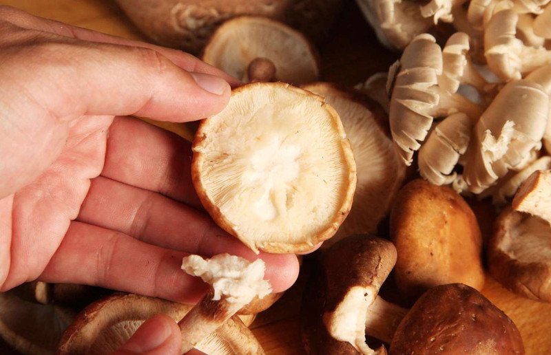 Kiểm soát cân nặng hiệu quả với nấm hương tươi ít calo và giàu chất xơ.