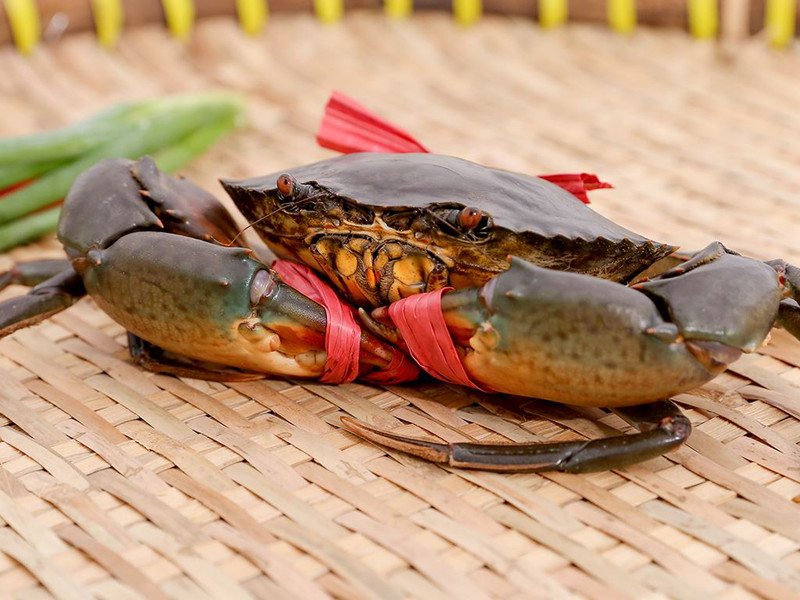 Cách Nấu Súp Cua Cho Bé Ngon Bổ Dưỡng Tại Nhà Kiểm tra phản ứng dị ứng khi bé lần đầu ăn súp cua