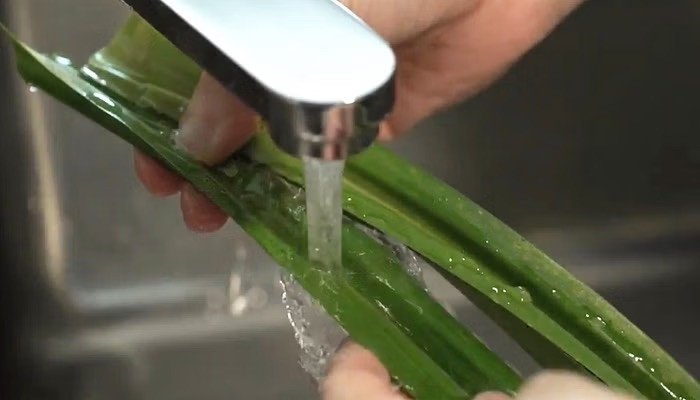 Lá dứa tươi xanh đã sơ chế, sẵn sàng dùng cho món xôi lá cẩm bằng nồi cơm điện
