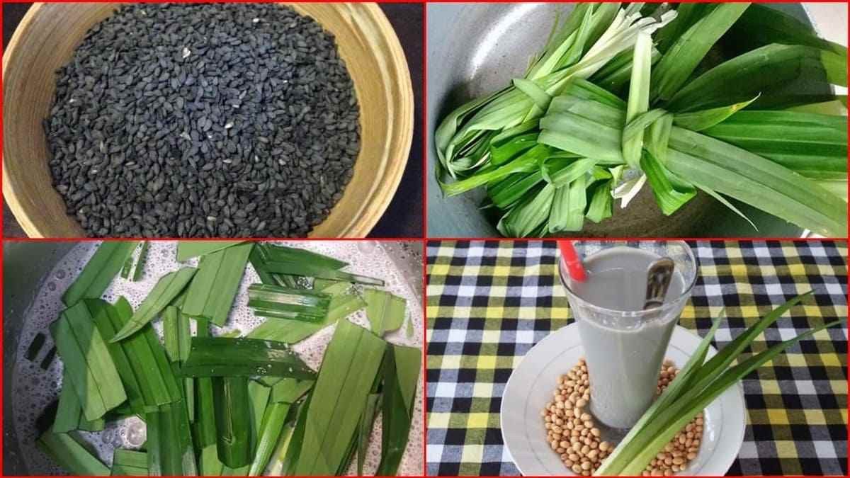Lá dứa và mè đen để làm sữa hạt thơm ngon