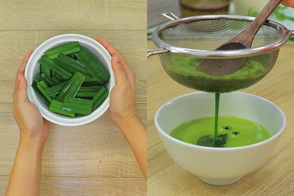 Lá nếp tươi xanh làm thạch