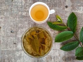 Lá ổi khô được sử dụng để pha trà, mang lại hương vị đặc trưng và tiện lợi