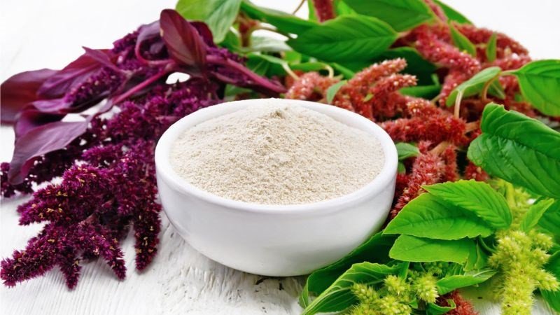 Lá rau dền chứa nhiều chất xơ tốt cho hệ tiêu hóa