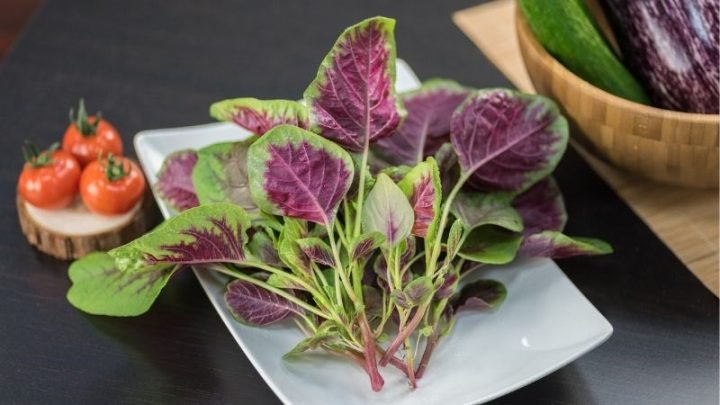 Lá rau dền tươi và non, minh họa 100g rau dền bao nhiêu calo