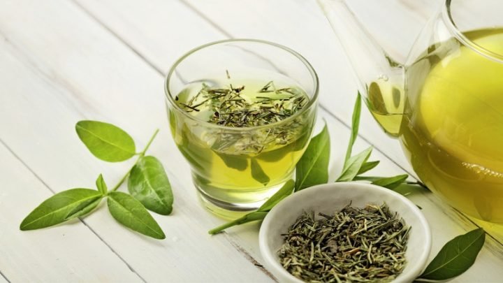 Giải Đáp: 1 Chai Trà Xanh 0 Độ Bao Nhiêu Calo Chuẩn Nhất Lá trà xanh tươi chứa hợp chất EGCG chống oxy hóa