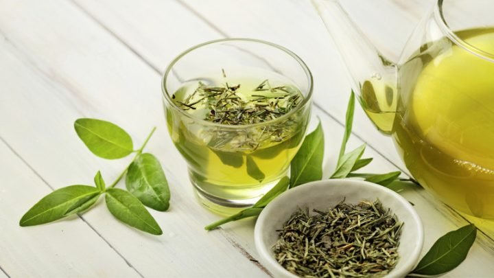 Lá trà xanh tươi chứa polyphenol