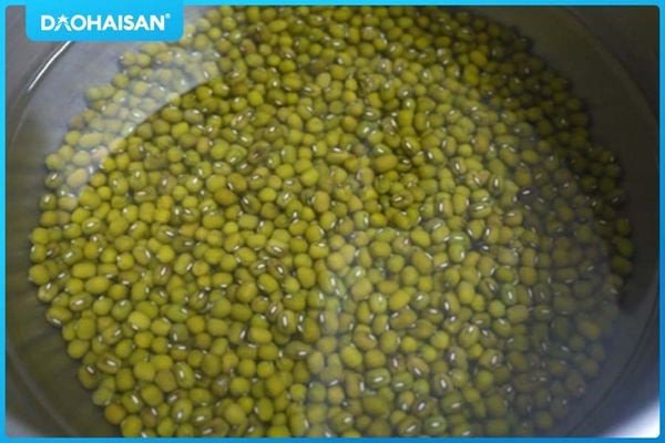 Làm sạch đậu xanh cho món cháo bào ngư