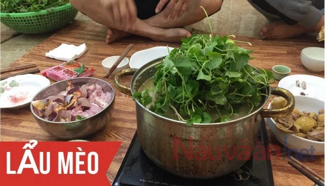 Lẩu mèo nước dừa thơm ngon