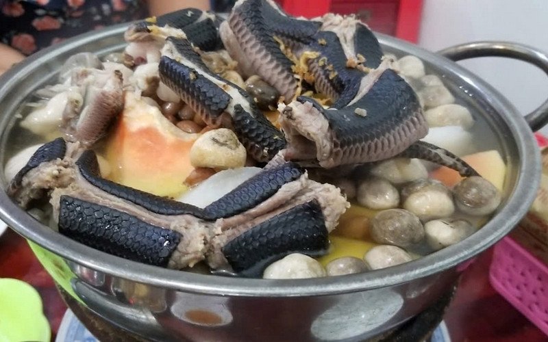 Bí Quyết **Cách Nấu Thịt Rắn Với Gà** Thuốc Bắc Ngon Chuẩn Vị Lẩu rắn gà thuốc Bắc