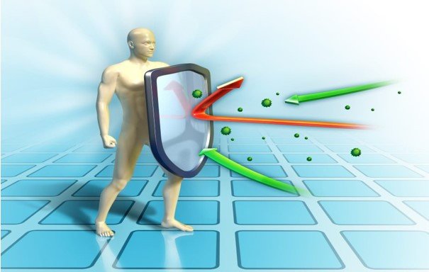 lợi ích bún nưa tăng cường miễn dịch