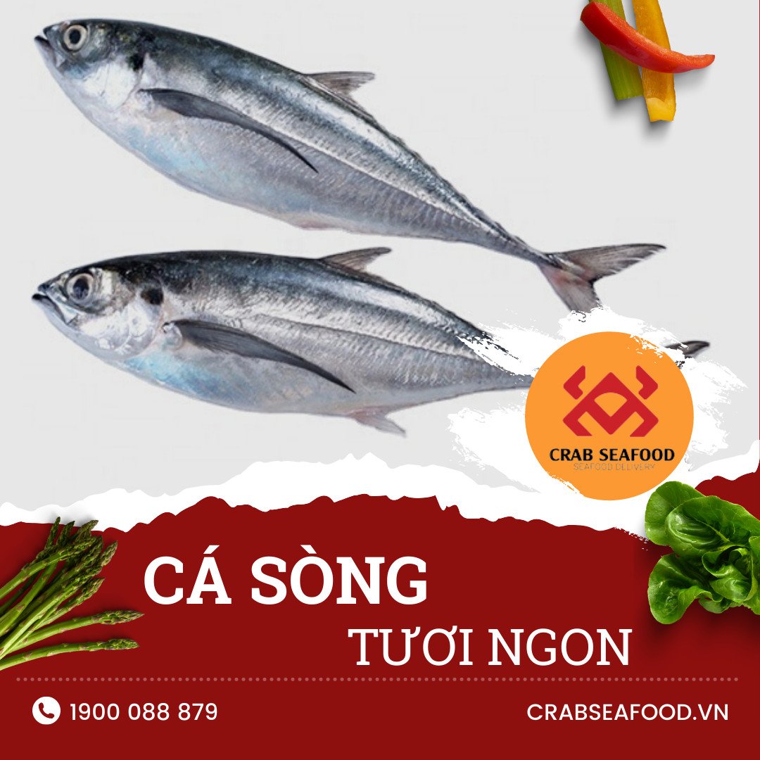 Lợi ích cá sòng cho sức khỏe