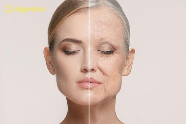 Lợi ích chống lão hóa từ kẹo sâm tự nhiên.