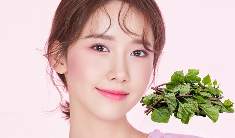 Lợi ích của rau mồng tơi giúp làn da khỏe mạnh