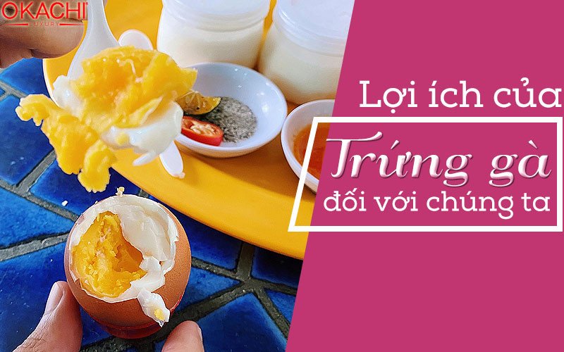 Lợi ích của trứng gà đối với sức khỏe