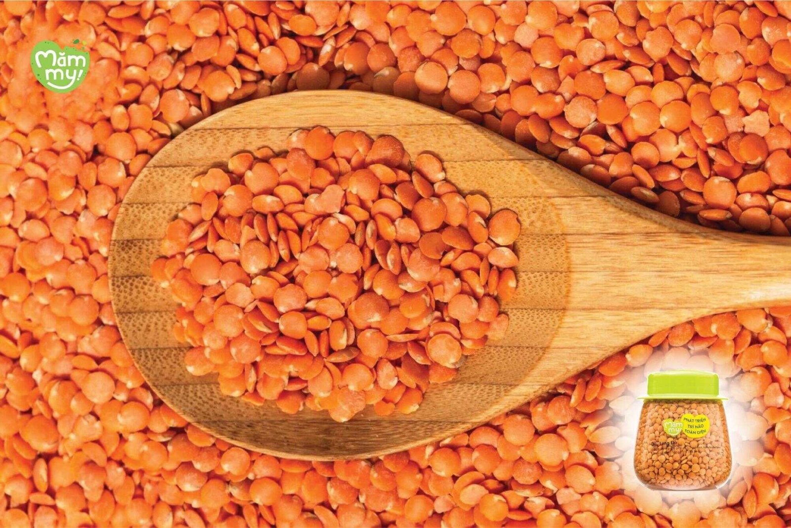 Lợi ích dinh dưỡng của đậu lăng đỏ cho bé ăn dặm