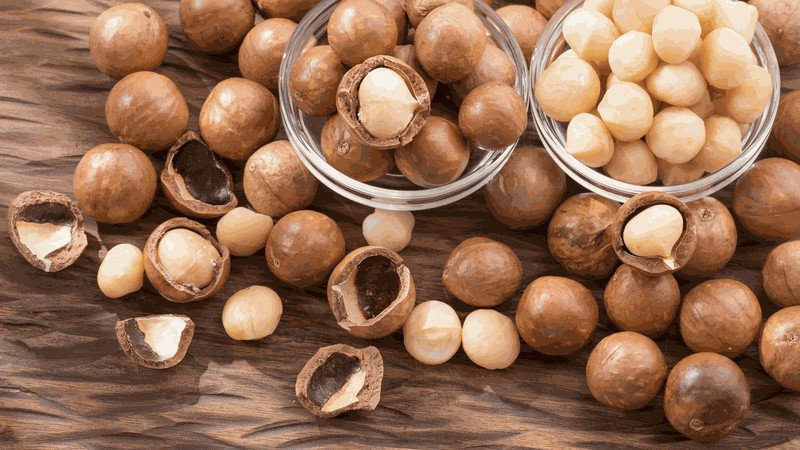 Lợi ích hạt mắc ca cho sức khỏe tim mạch, giúp giảm cholesterol