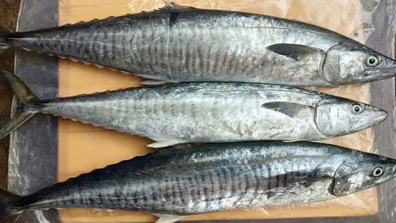 lợi ích sức khỏe của cá thu