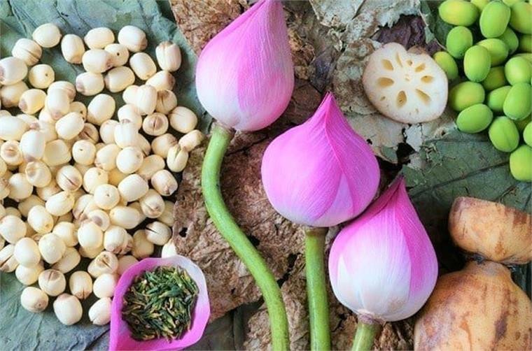 Lợi ích sức khỏe của chè hạt sen táo đỏ