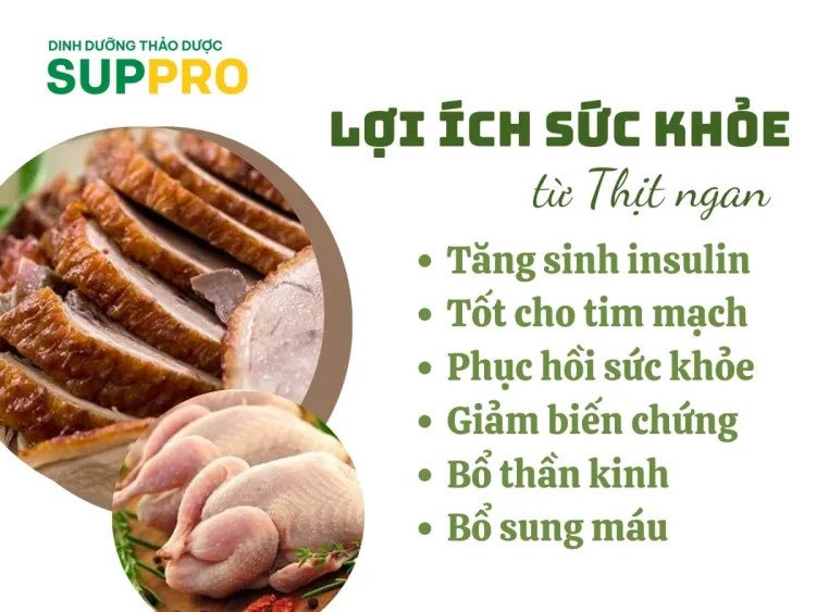 Lợi ích sức khỏe của thịt ngan cho người tiểu đường