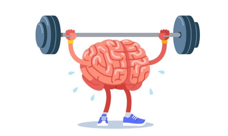 Lợi ích sức khỏe từ cá cơm, nguồn gốc của mắm cá cơm, góp phần vào dinh dưỡng