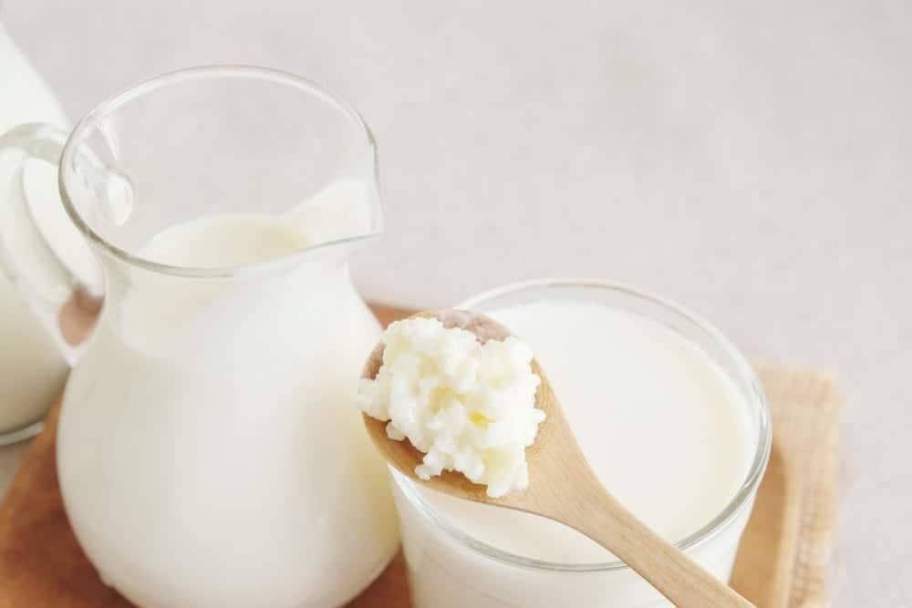 Lợi ích sức khỏe và giá trị dinh dưỡng của sữa chua kefir
