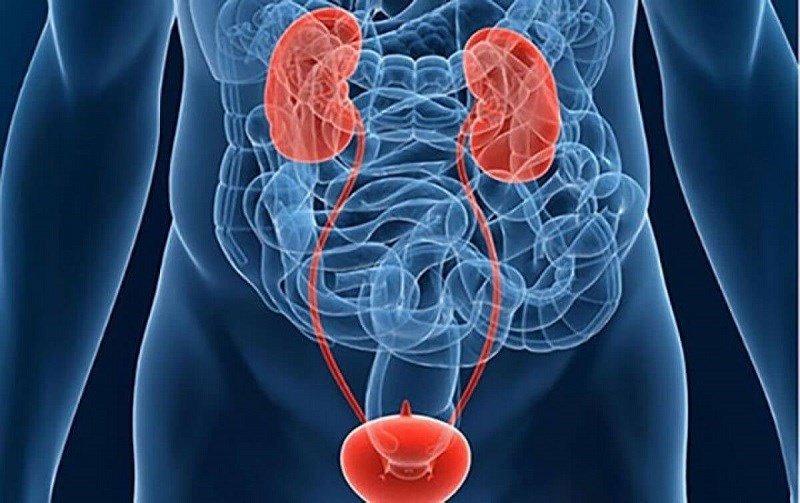 lưu ý khi ăn cà chua với bàng quang và thận