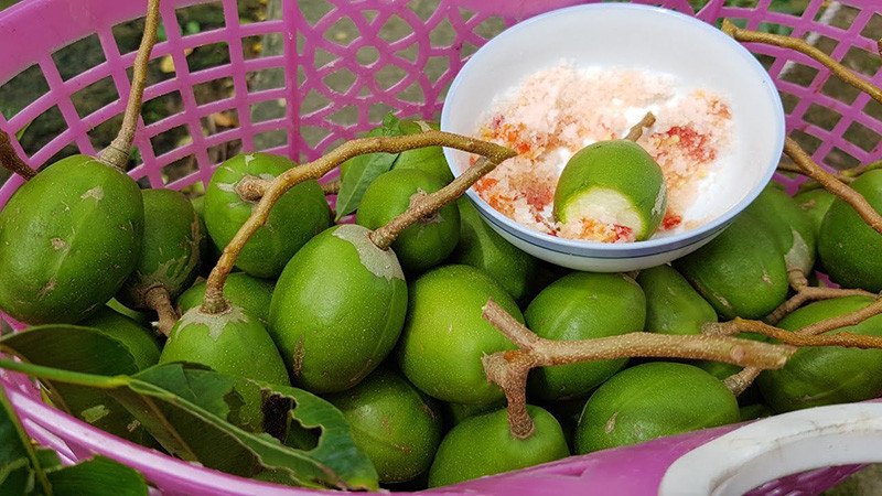 Lưu ý khi ăn cóc để tránh tác dụng phụ