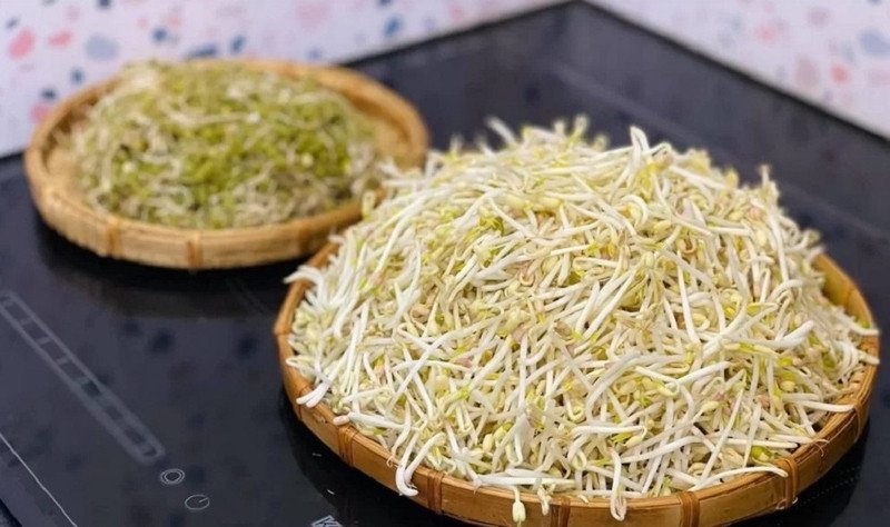 Lưu ý khi ăn giá đỗ để đảm bảo an toàn sức khỏe