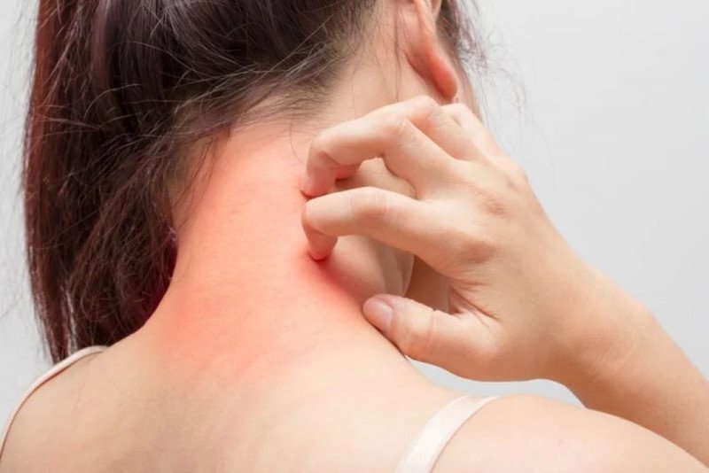 Lưu ý khi ăn sò huyết để đảm bảo sức khỏe và dinh dưỡng