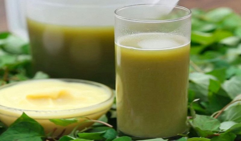 Lưu ý khi sử dụng nước rau diếp cá đun sôi để đạt hiệu quả tốt nhất