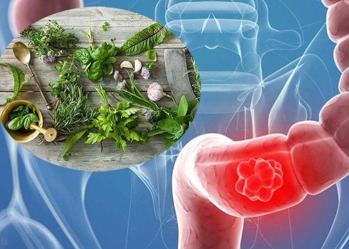 Lưu ý khi sử dụng trà la nam