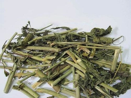 Lưu ý quan trọng khi dùng cây xương khỉ để đạt hiệu quả tốt nhất