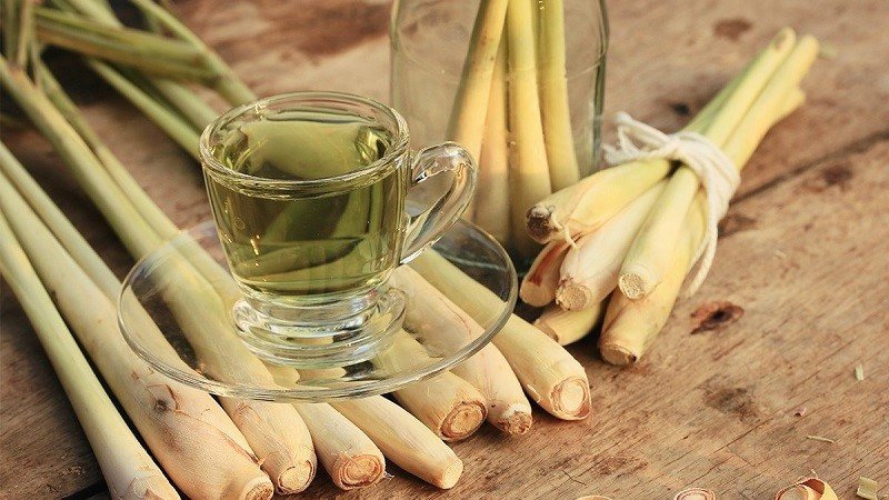 Ly nước sả thơm ngon, một phần quan trọng của cách nấu nước chanh sả gừng giảm cân