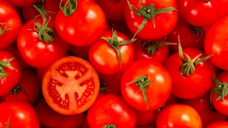 Lycopene trong cà chua có thể góp phần thay đổi màu da của con người