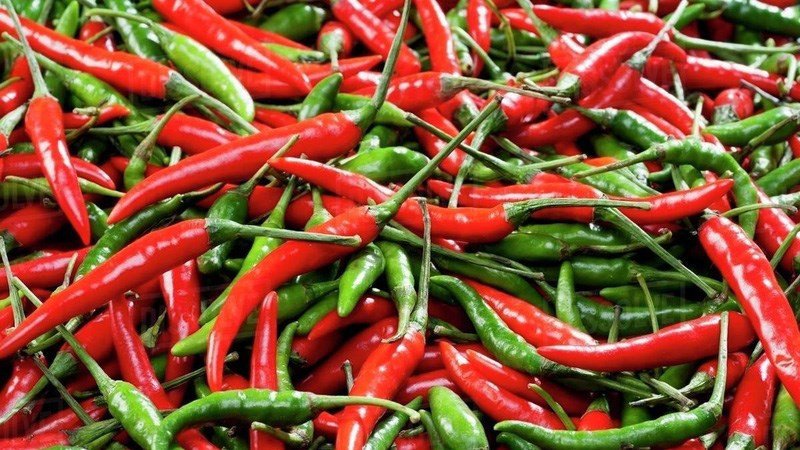 Măng tươi được luộc cùng ớt để loại bỏ vị đắng hiệu quả