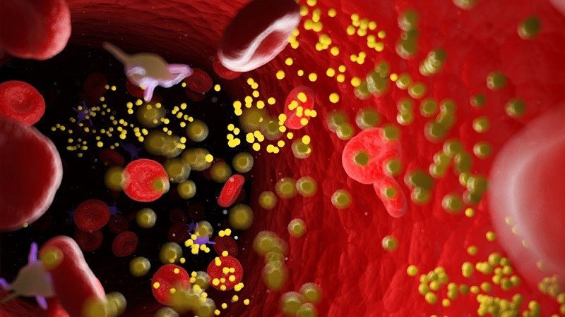 Mát lạnh nước dừa giúp giảm cholesterol xấu, bảo vệ sức khỏe tim mạch