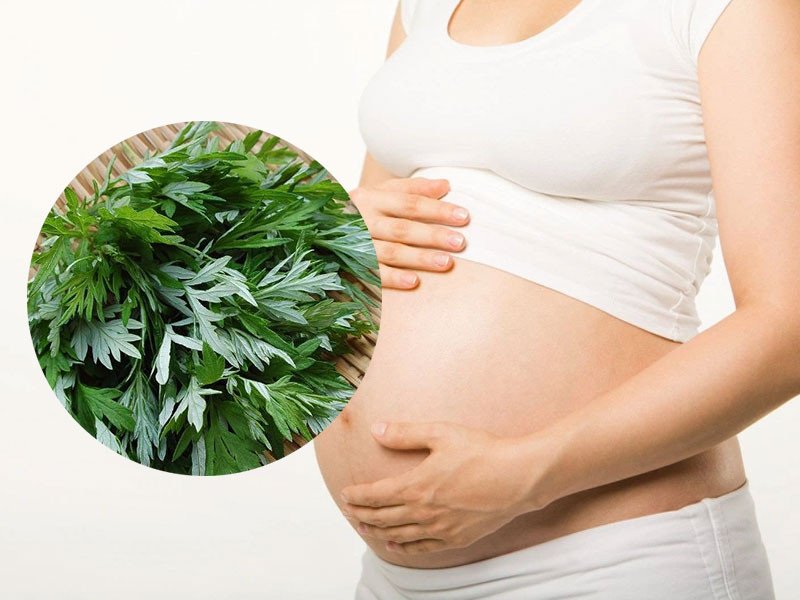 Mẹ bầu chỉ nên ăn gà hầm ngải cứu từ tháng thứ 4 của thai kì