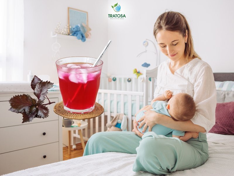 Mẹ bỉm sữa đang cho con bú, minh họa tác dụng lợi sữa của cách nấu nước lá tía tô cho mẹ sau sinh